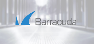 Barracuda